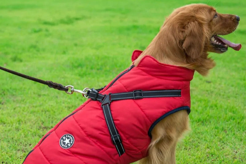 Winter Warm Dog Jacket Waterproof Pet Coat for Small Large Dog Clothes Fleece with Harness Puppy Vest Chihuahua Labrador Costume