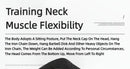 Neck training Harness