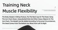 Neck training Harness